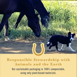 WITHERS & WITHERS Sugar-Free Cinnamon Nutra-Treats for Horses Online