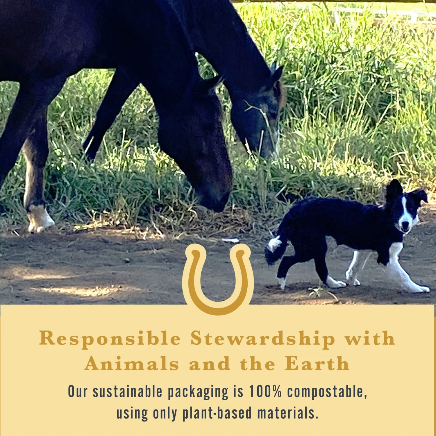 WITHERS & WITHERS Sugar-Free Cinnamon Nutra-Treats for Horses Online